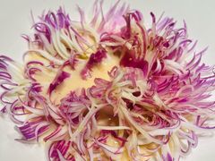 -大拙里·精致融合菜(沙湖桃源国际店)