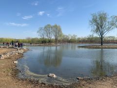 -大兴滨河森林公园