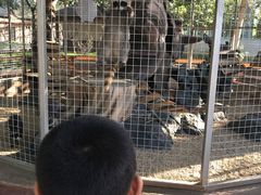 -北戴河集发农业梦想王国