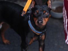 -SeekSeeking咖啡专门店(堰塘街店)