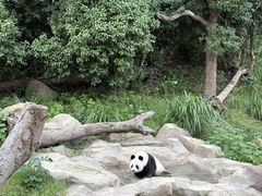 -宁波野生动物园