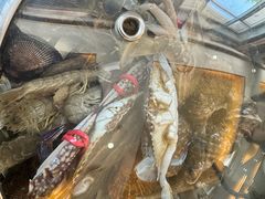 -四海蒸鲜蒸汽海鲜自助(北戴河店)