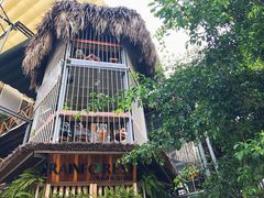 -Rainforest
