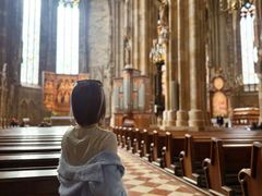 -斯蒂芬主教座堂(Stephansdom)
