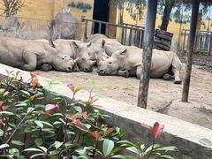 -西安秦岭野生动物园