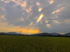 -崖口煲仔饭