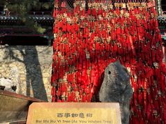 -潭柘寺景区
