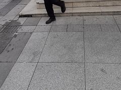 -深圳香格里拉酒店