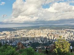 -长虫山生态公园风景林