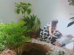 -凡人&庄阿姨的辣(万寿亭店)