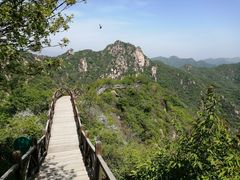 -大岭沟猕猴桃谷风景区