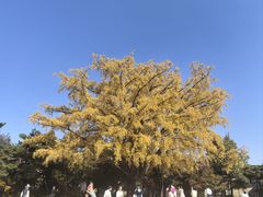 -景福宫