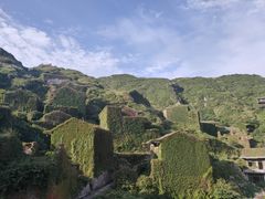 -枸杞岛