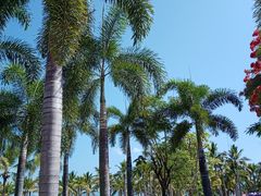 -三亚西岛海洋文化旅游区