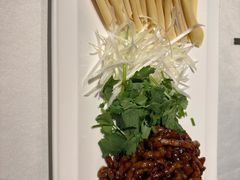 -大鸭梨烤鸭(望京店)