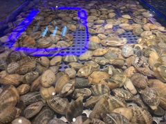 -深海壹品海鲜自助餐厅(吾悦广场店)