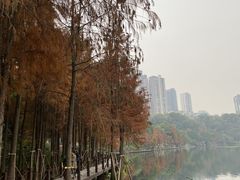 -重庆彩云湖湿地公园