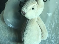 -PAWTOY爪e玩偶店(天兴罗斯福店)