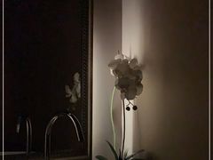 -Dragonfly悠庭·按摩Spa(新乐路店)