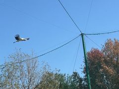 -合肥野生动物园