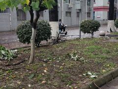 -四川大学(华西校区)