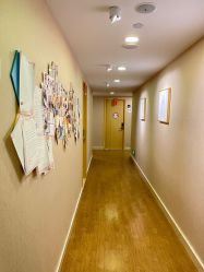 -海豚湾高端月子会所(黄浦店)