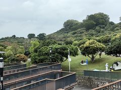 -立新湖公园