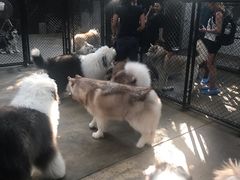 -TrueLove @ Neverland (Husky Cafe)