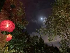 景观位-龙门阵茶屋川菜馆(武康路店)