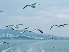 -刘公岛景区