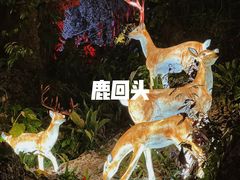 -鹿回头风景区