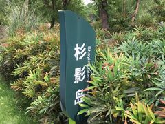-长兴太湖图影湿地文化园