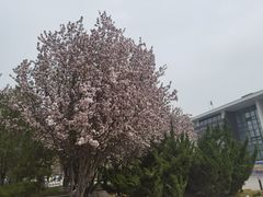 -和颐酒店(北京中关村软件园店)