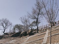 -白水寺森林公园