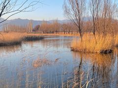 -野鸭湖国家湿地公园