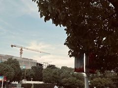 -上海永慈康复医院