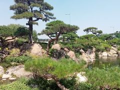 -罗红摄影艺术馆