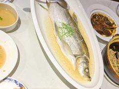 -席家花园(巨鹿花园店)