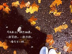 -花·fleur古董西餐厅(西城夜未央店)