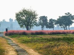 -汉长安城未央宫国家考古遗址公园