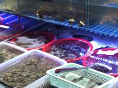 -舟山海鲜·江浙菜(银沙路店)
