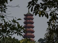 -南沙蒲洲花园