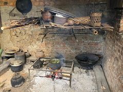 -西双版纳原始森林公园