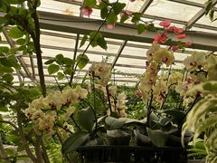 -石家庄市植物园