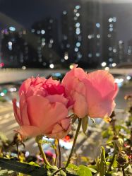 -芳朵美容养生SPA