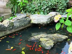 -谷咖啡·鲜花绿植花园餐厅
