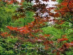 -润泽天·湘味家宴(岳麓山店)