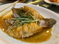 -御满江海鲜酒家(洛溪新城店)
