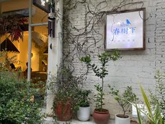 -春树下·树屋花房西餐厅(罍街AS1980店)