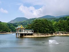 -庐山风景区花径公园